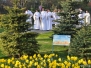 2011.04.21 - Wielki Czwartek